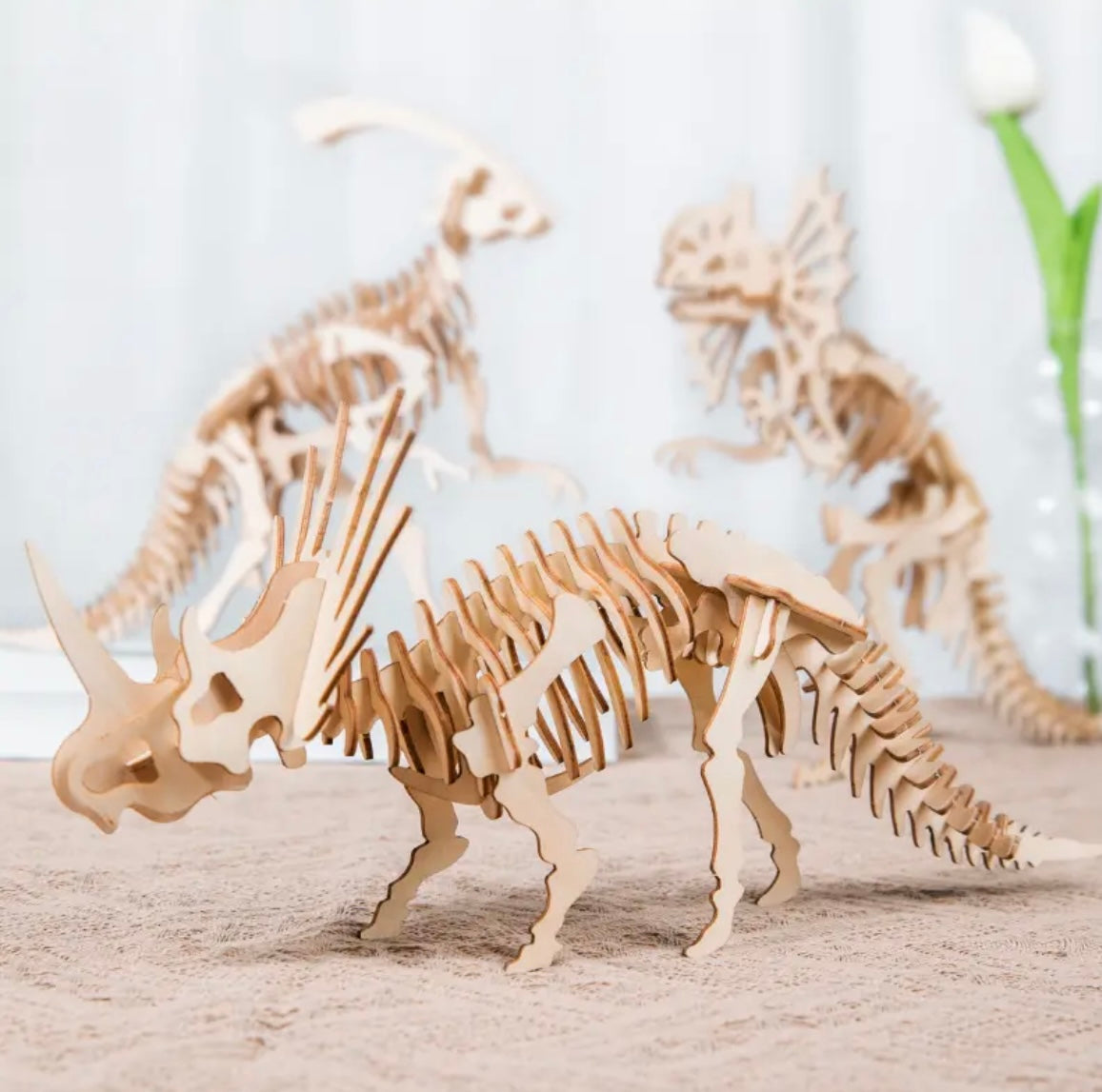 5 pc Dinosaur 3D Puzzle Set