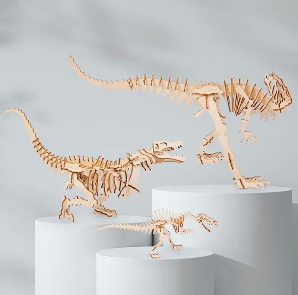 5 pc Dinosaur 3D Puzzle Set