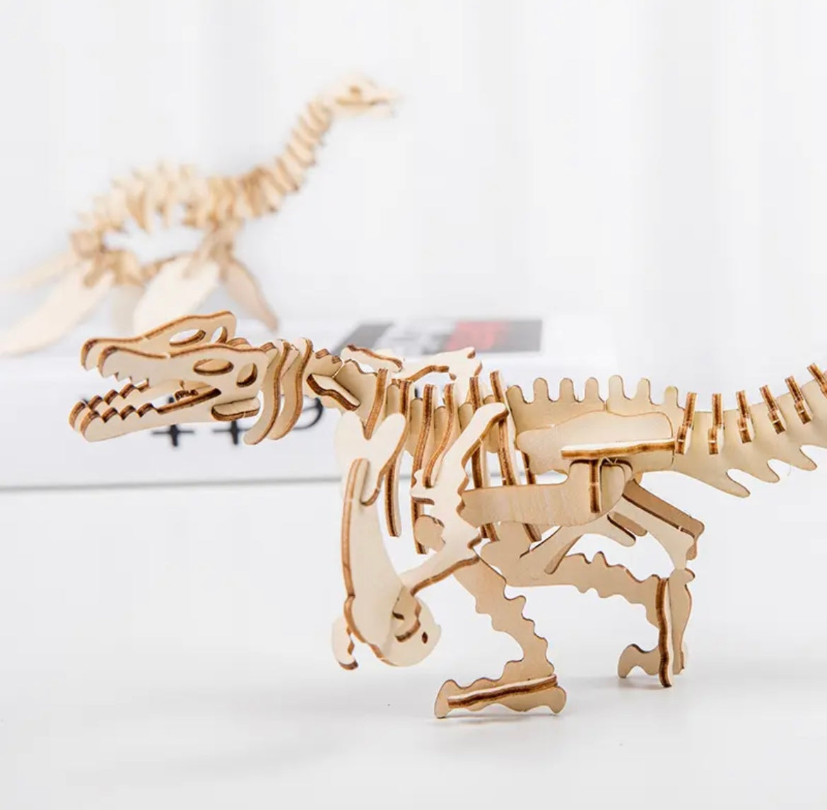 5 pc Dinosaur 3D Puzzle Set