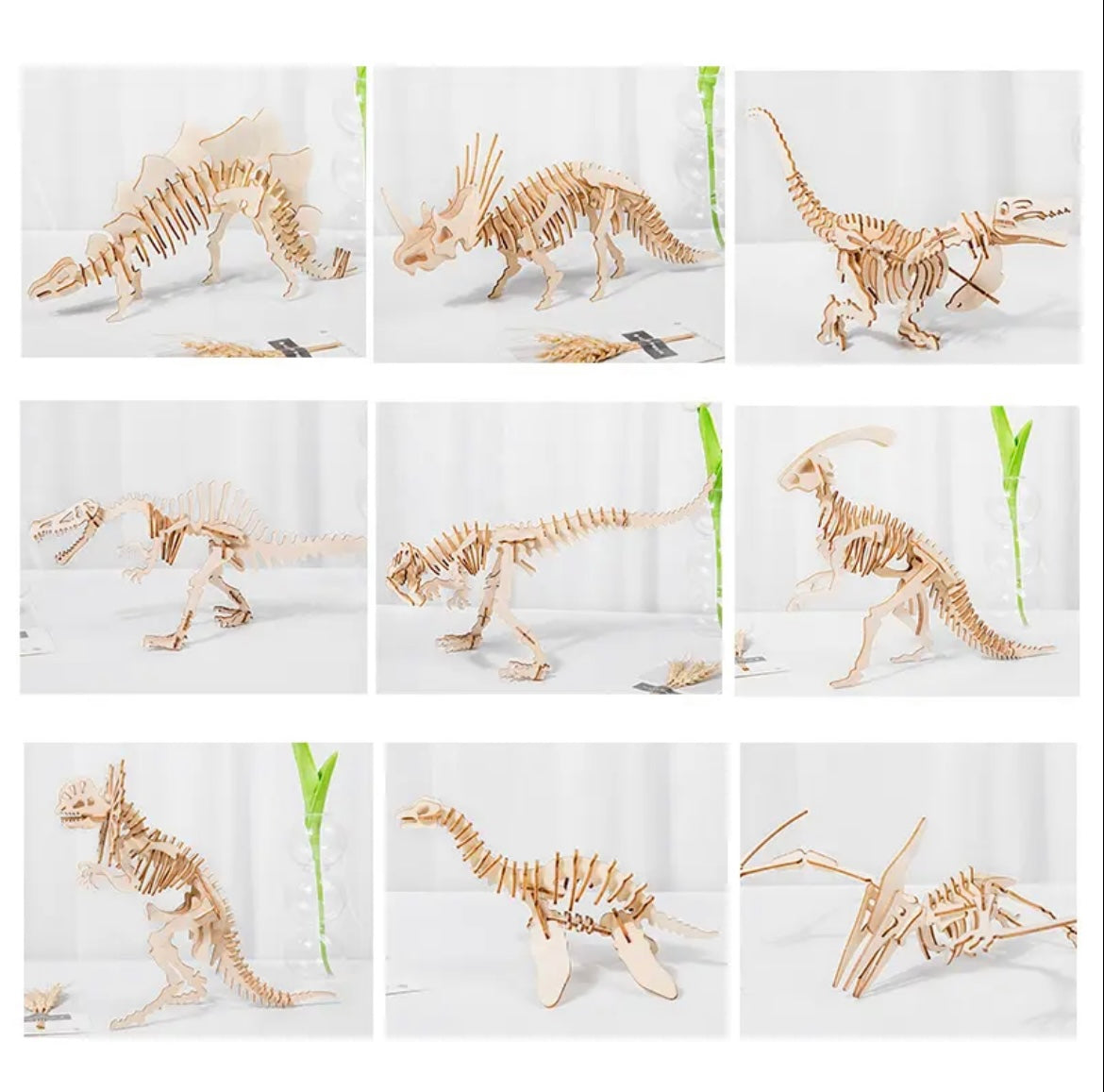 5 pc Dinosaur 3D Puzzle Set