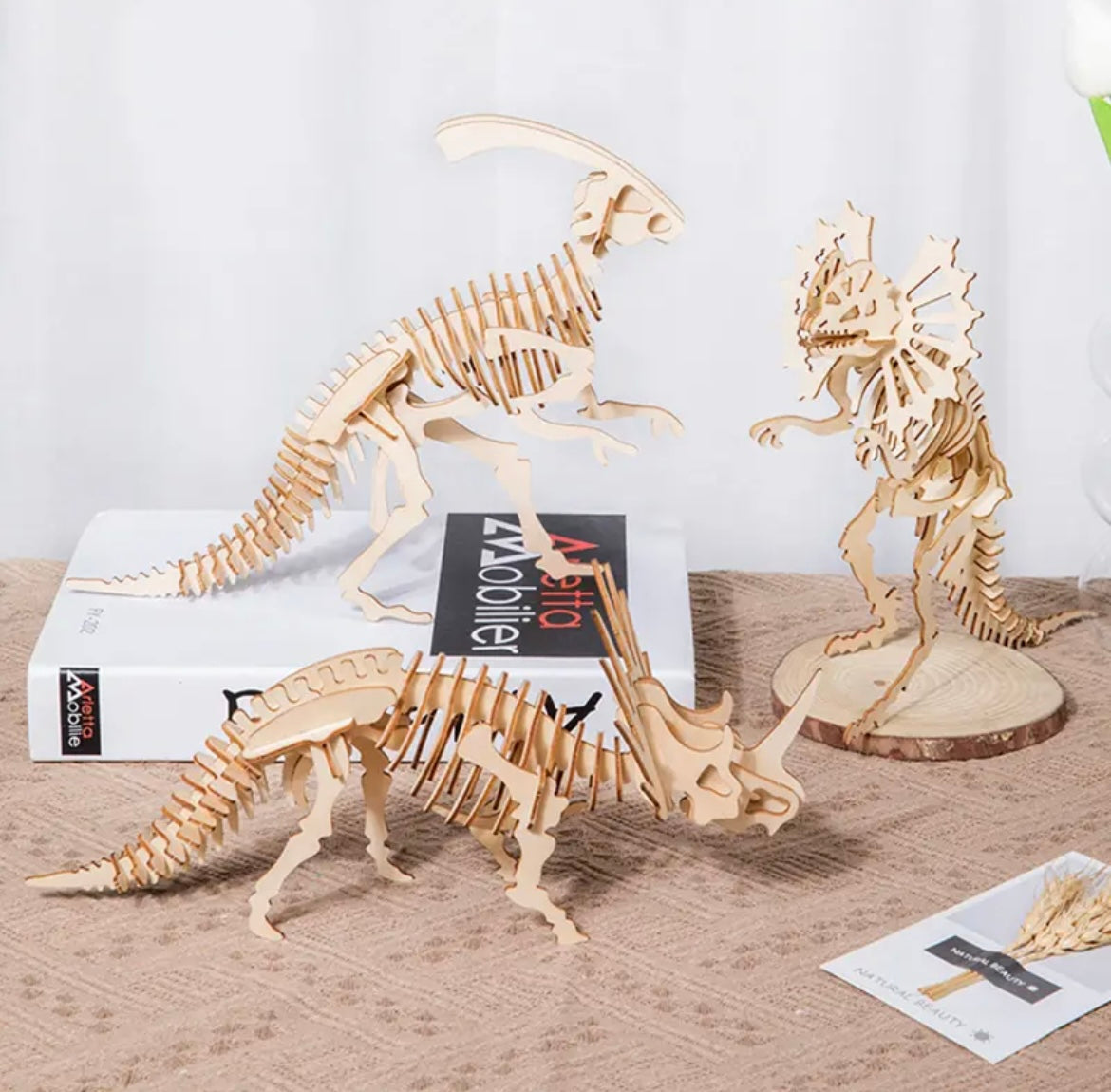 5 pc Dinosaur 3D Puzzle Set