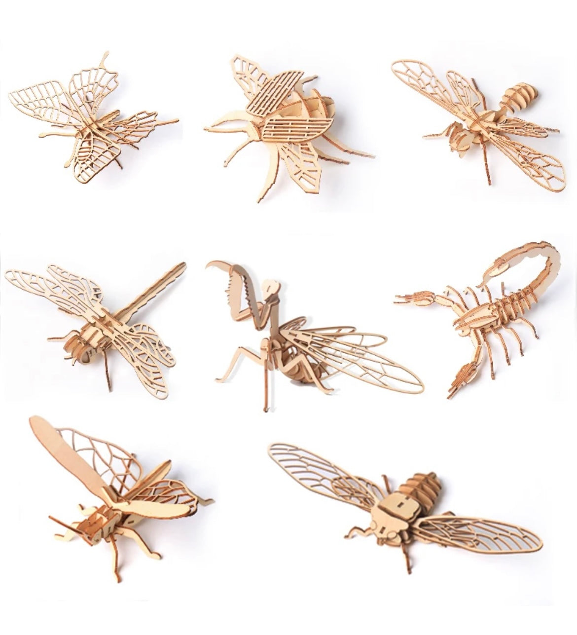 3D Wood Insect Models - 4 pack