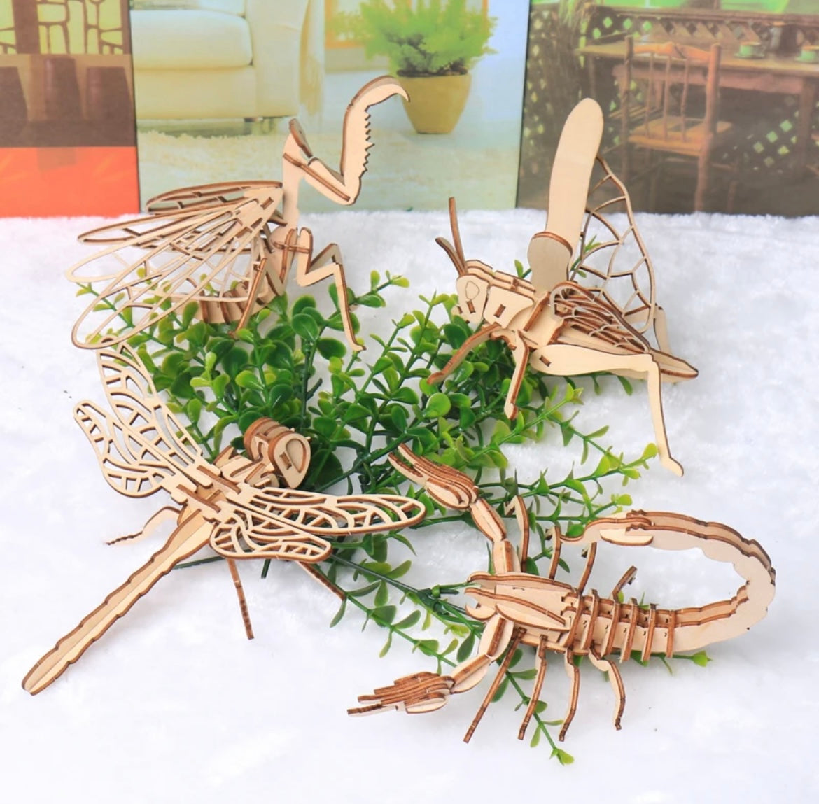 3D Wood Insect Models - 4 pack