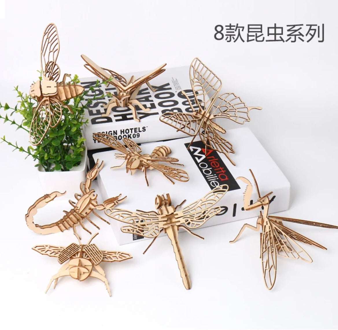 3D Wood Insect Models - 4 pack